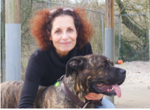 Assistance Refuge Animaux