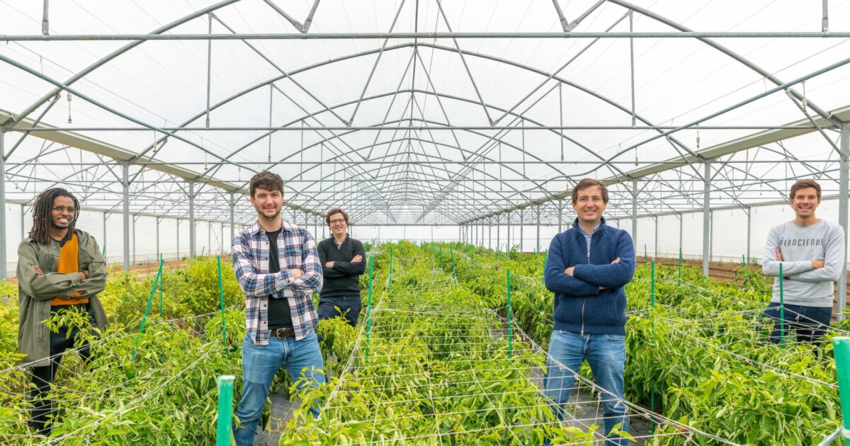 La Ferme de l’Envol : le retour à des pratiques « Alancienne » en Essonne