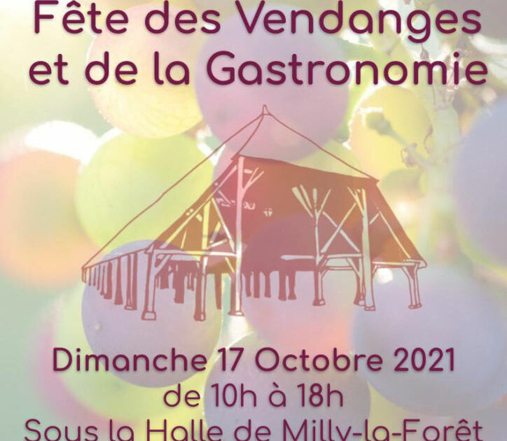 l’Office du tourisme de Milly-la-Forêt organise sa fête des vendanges et de la gastronomie – Latitude 91