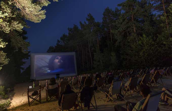 Projection en forêt à l'occasion du festival Branche&Ciné 