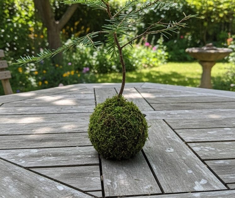 Atelier Kokedama – les jardins suspendus — Franconville