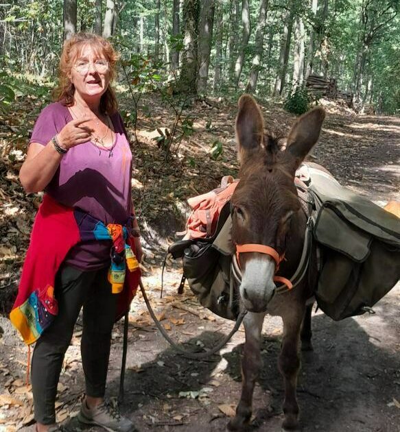 Balade contée avec un âne : la forêt enchantée — Verneuil-sur-Seine