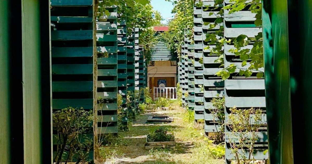 Visite du logis et du jardin d'arc (Beursault), patrimoine culturel immatériel — Ermont