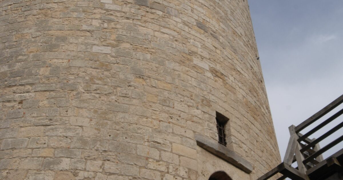 Visite commentée du château — Dourdan