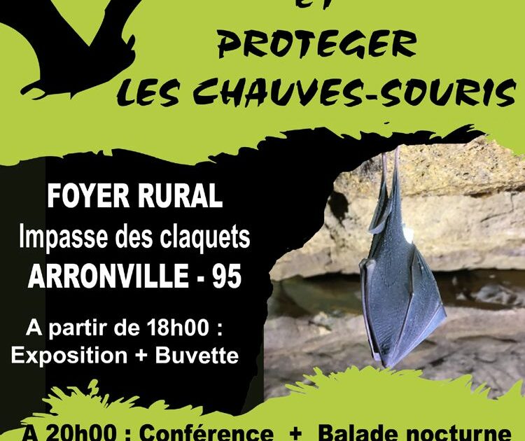 Connaître et protéger les chauves-souris à Arronville — Arronville