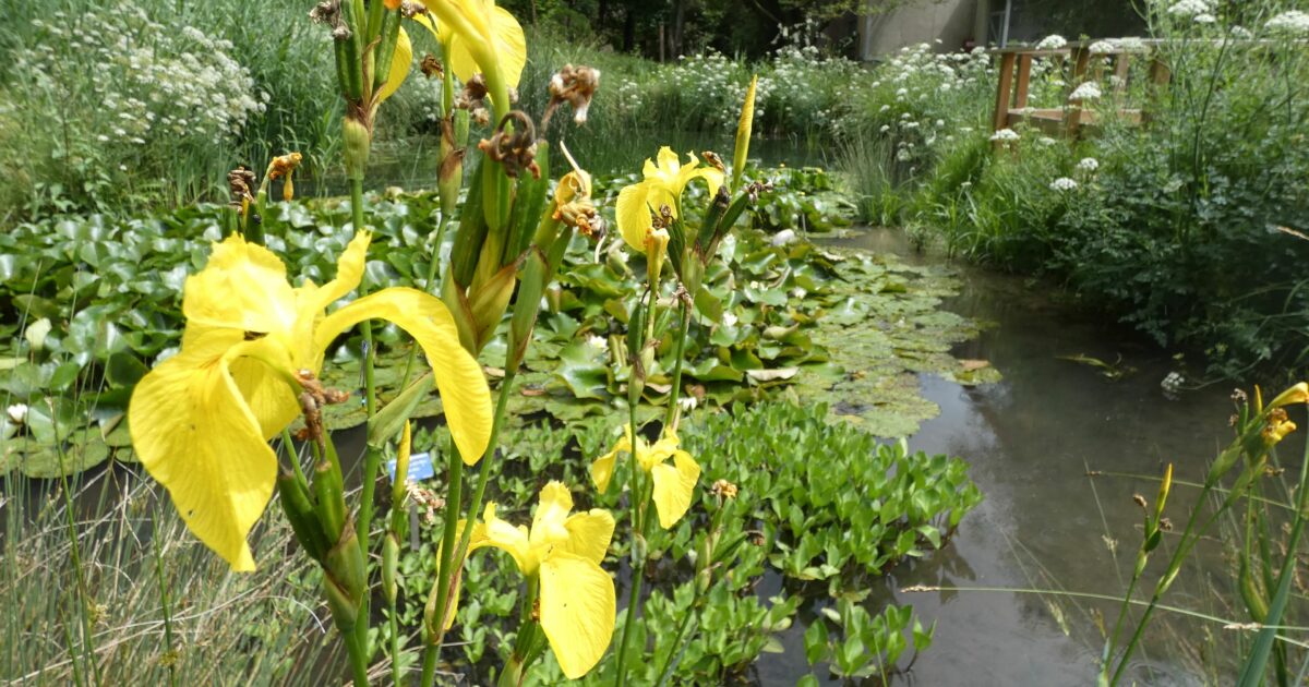 Jardin botanique de l'Université Paris-Saclay — Bures-sur-Yvette