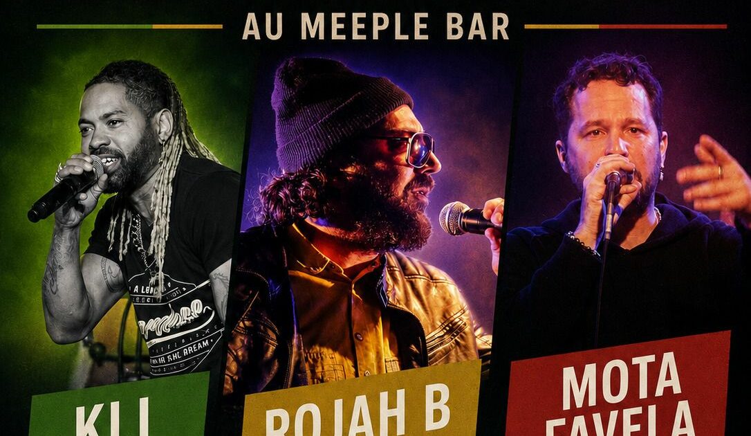 Concert Reggae & Dancehall au Meeple Bar — Maurepas