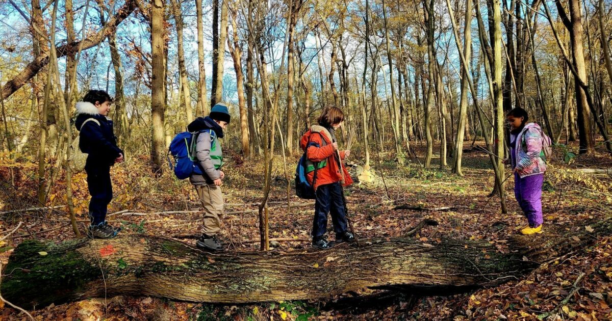 "Mercredi j'ai forêt !" à Saint-Germain-en-Laye — Paris