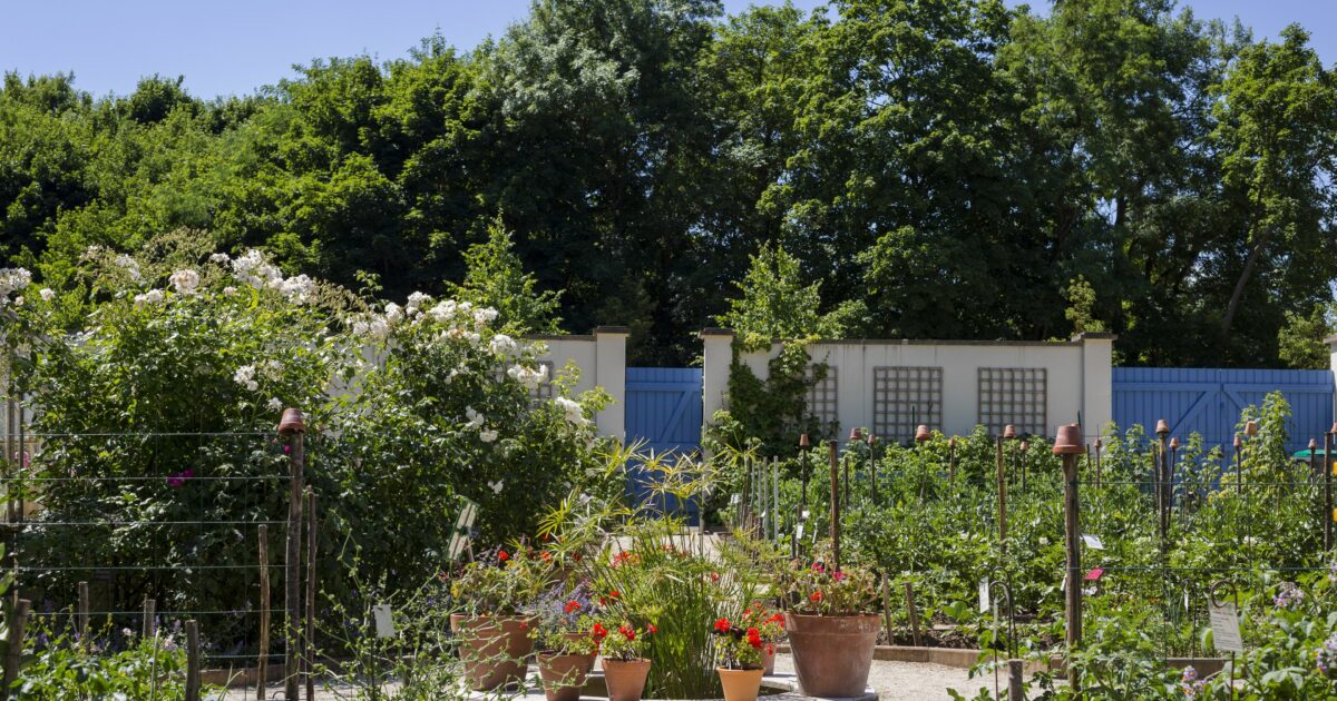 Visite libre du potager du Parc Caillebotte — Yerres