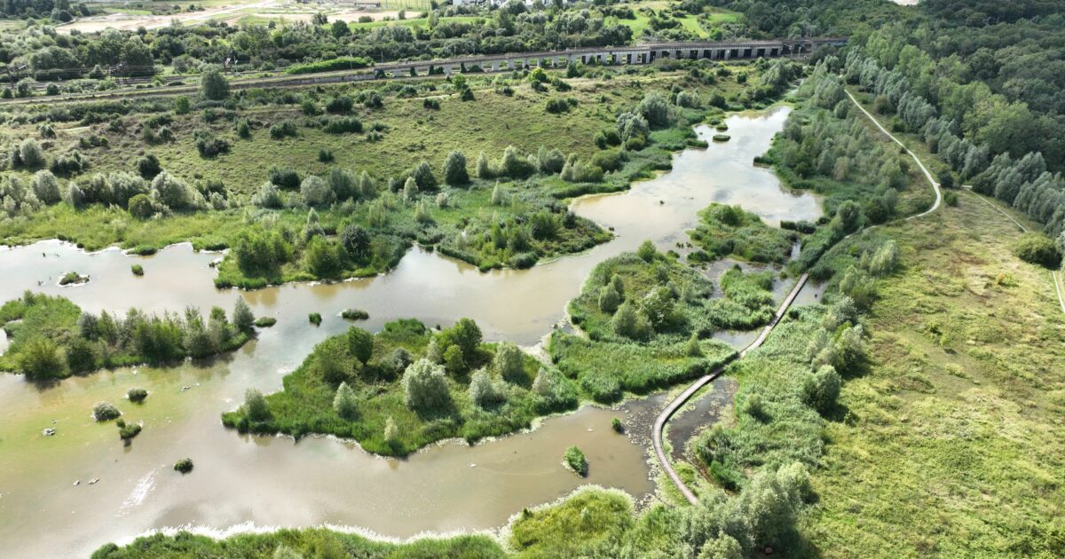 Visite guidée du bassin de la Motte — Moissy-Cramayel