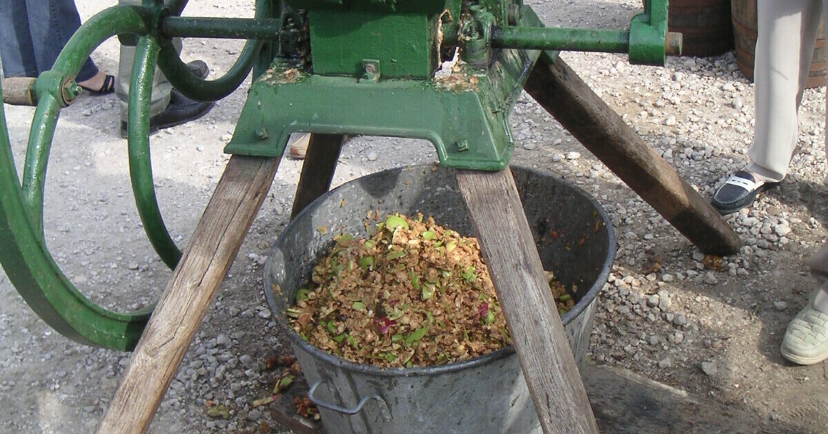 Atelier fabrication traditionnelle de jus de pomme — Bouray-sur-Juine